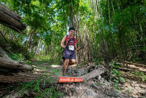 BIB: 
                            <button type="button" onclick="openModal(19391542)" class="btn btn-primary btn-sm float-right btn-popup" data-toggle="modal" data-target=".modal-high-quality">
                        <i class="fas fa-shopping-cart"></i> Add to Cart
                    </button>
                                            <button type="button" onclick="isThisMe(19391542, true)" class="btn btn-success btn-sm float-right btn-popup btn-isme hidden" data-toggle="tooltip" data-placement="bottom" title="นี่คือรูปของคุณใช่ไหม คลิกที่นี่เพื่อเอาเข้าอัลบั้ม">
                        <i class="fas fa-plus"></i> Add to album
                    </button>
                    <button type="button" onclick="isThisMe(19391542, false)" class="btn btn-warning btn-sm float-right btn-popup btn-isnotme hidden">
                        <i class="fas fa-ban"></i> Remove from album
                    </button>